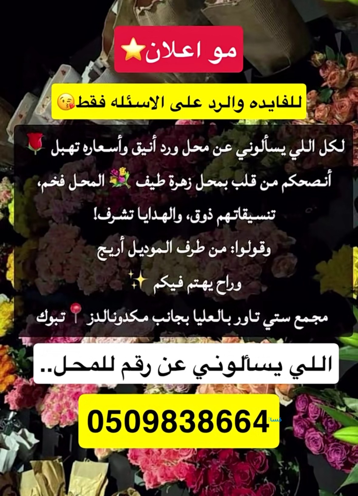 افضل محل ورود تبوك